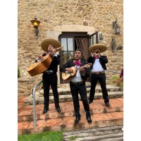 Mariachi Tequila Logo