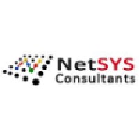 NetSYS Consultants Logo