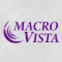 MacroVista - Communications, Surveillance & Workplace Safety Solutions Provider Logo