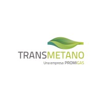 Transmetano Logo