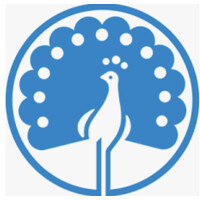 Reimbold & Strick Handels- und Entwicklungsgesellschaft für chemisch-keramische Produkte mbH Logo