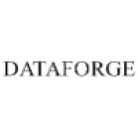 Dataforge Logo