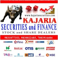 Kajaria Securities & Finance (Delisted Unlisted Shares) Logo