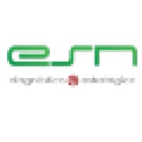 ESN Diagnóstico Estratégico Logo