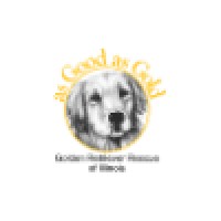 As Good as Gold Golden Retriever Rescue of Illinois Logo