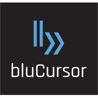 bluCursor Infotech Pvt Ltd Logo