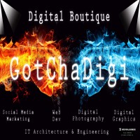 GotChaDigi Logo