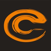 Creative Visions Print and Design Logo