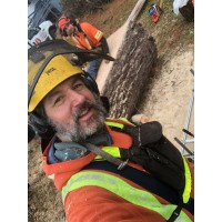 Totem Tree Service Logo