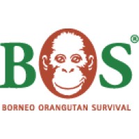 Borneo Orangutan Survival (BOS) Deutschland e.V. Logo