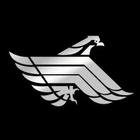 Washington Alloy Co. Logo