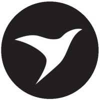 RavenFlo LLC Logo