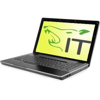 IT-Wölfle Logo