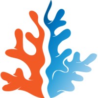 BlueReef Technology Logo