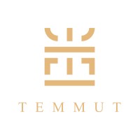 TEMMUT Logo