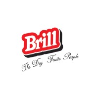 Brill international Logo