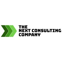 Next Consulting Company Logo