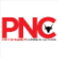 Pritish Nandy Communications Ltd Logo