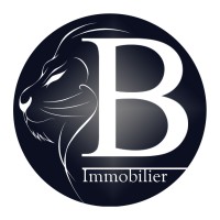 BRINGS Réseau et Agence immobilière Logo