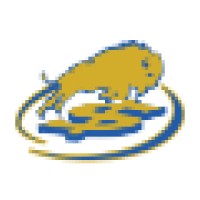 Buffalo First Wealth Management Logo