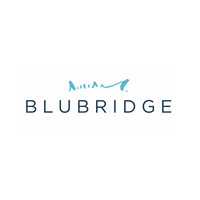 BluBridge LLC Logo