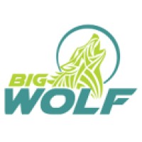 Big Wolf Marketing Ireland Logo