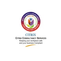 Citrix Consultancy Services Ltd Logo