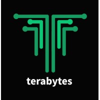 TeraBytes Inc. Logo