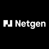 Netgen Consulting Logo