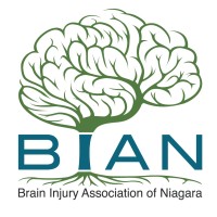 Brain Injury Association of Niagara (BIAN) Logo