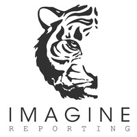 Imagine Reporting Logo