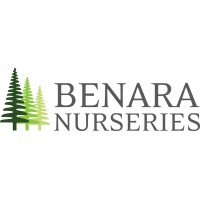 Benara Nurseries Logo