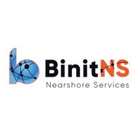 Binit Nearshore Services (BinitNS) Logo