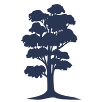 Cypress Bank & Trust Logo