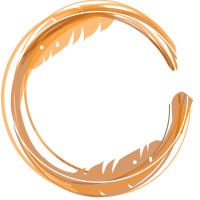 CanSurround Logo