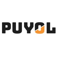 Puyol Engineering and Consultancy Ltd. Co. Logo