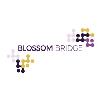 Blossom Bridge Consulting Logo