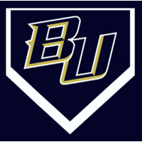 Barrel Up Baseball of Illinois Logo