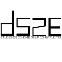 DS2E Logo