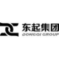 Dongqi Crane&Hoist Logo