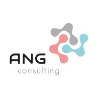 ANG consulting Logo