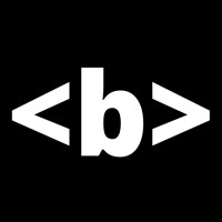 Bold Digital Ventures Logo