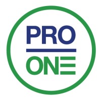 Professional One Logo