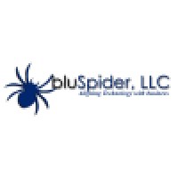 bluSpider, LLC Logo