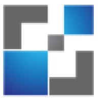 Dynamic Solutions Worldwide, Inc. Logo
