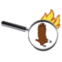Fireeagle Consulting Logo