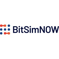 BitSim NOW AB Logo