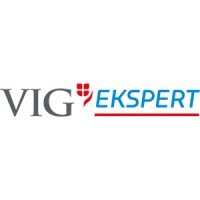 VIG Ekspert Logo