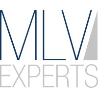 MLV Experts GmbH & Co. KG Logo