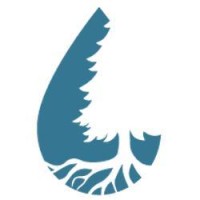 Vivid Roots Logo